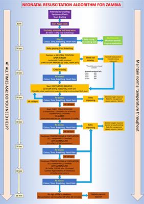 Bridging the gap in neonatal resuscitation in Zambia